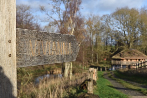 Vivianna sign, Treeopia